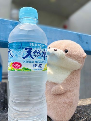 やまだです。
8月に突入し、夏真っ盛りですね。やまだはうみたまご出身ですから、燦々と輝く太陽と対峙すると干からびそうになってしまいます。飼い主も最近は冷房の効いた部屋でうだうだしています。だらしなくて目も当てられません。みなさん、熱中症にはお気を付けて。やまだも浴びるほど水分補給を心がけていきます。