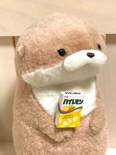 やまだです。
やまだサイズのハイレモンを極秘ルートで入手し、うきうきです。時には言いたいことも全て飲み込んでやり過ごしてしまう場面もあるでしょう。ですがそういう時こそ、ハイレモンのようにぽりぽり噛み砕くことも検討してみてはいかがでしょうか。やまだは応援しています。