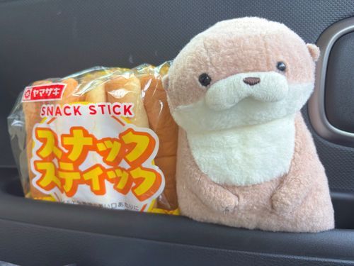 やまだです。
スティックパンと共に車のドアポケットに押し込まれています。寝坊した飼い主の朝ごはんだったのですが、隙を見てやまだもほんの5、6本ほどいただきました。素朴で優しい甘みがクセになりますね。