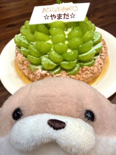 やまだです。
本日は飼い主のご家族のお誕生日会でした。やまだはネットリテラシーの高いカワウソなので、お名前は代理でやまだにしています。このような美味しいお誕生日ケーキを食べるためならば…やまだ、毎日"誕生"させていただきます。