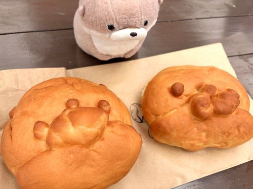 やまだです。
飼い主と飼い主のご友人が、パン作り体験でやまだのパンを作ったそうです。飼い主、やまだのお顔はもっとぷりちーです。これはやまだがいただくので、もう一度作り直してください。