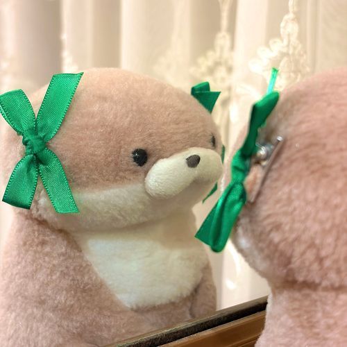 やまだです。
週初めの気合い入れとしておめかししてみました。自己嫌悪に陥っても理不尽なことがあっても、鏡を見ればそこには、カワウソ界でも郡を抜いてぷりちーなやまだがいる。その紛れもない事実が、またひとつやまだを強くさせるのです。