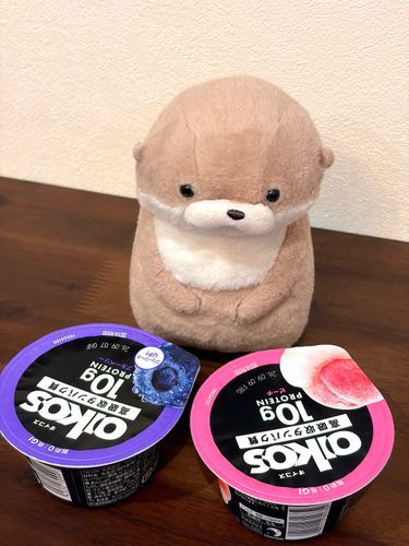 やまだです。
朝からカワウソ生に大きく影響するであろう選択を迫られています。甘酸っぱく弾けるブルーベリーか、ジューシーな甘さのピーチか……やまだは悩みました。そして辿り着いたのです。どちらか選べないのならば、どちらも選んでしまえばいいのだと。固定観念を覆し、やまだは今日から次のステージへと進みます。
