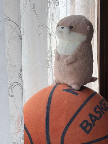 やまだです。
今朝は脅威のバランス感覚を飼い主に見せつけてやりました。目まぐるしい日常の中で、周りが見えなくなることもあります。しかしそういう時こそ、視座を高く持ち、物事を考えることができると、BIGなカワウソへの道も見えてくるはずです。お互い頑張りましょう。