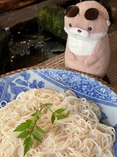 やまだです。
本日は夏の風物詩である流しそうめんを嗜みました。8月が終盤に差し掛かっていることに驚きを隠せないやまだです。そうめんのように、まだこの夏の中を漂っていたいです。