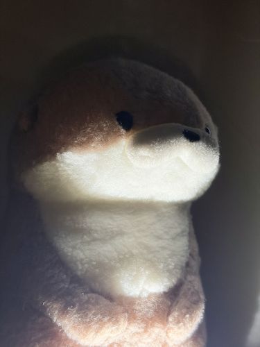 やまだです。
やりたいことが多すぎるが故に、気づいたらこんなに遅い時間になっています。これが所謂"リベンジ夜更かし"というものなのでしょうか。しかしながら、夜更かしは美容の大敵。ぷりぷりモチモチなカワウソを目指すべく、やまだは踊るように入眠します。