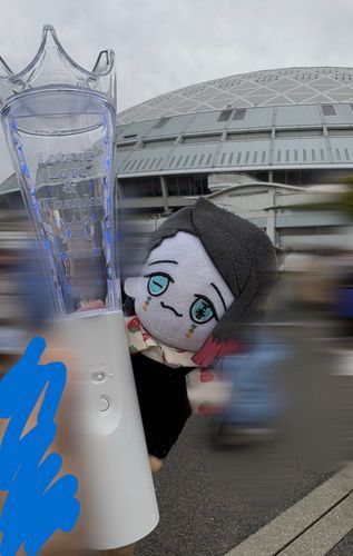 ちびえんちゃんとドーム
ちびえんちゃん「あらし　かっこよかったね〜」
また楽しい思い出できたね🥰