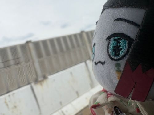 ちびえんちゃん「きょうは　おでかけ！どこに　いくのかなぁ？」