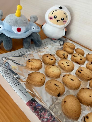 クッキーを焼いたよ
なんと、レーズン入りだ