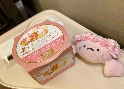 いま、あるじの実家にきてるんだ！
ごようじたくさんでいそがしいんだって。とちゅうでいろんなスイーツ食べたんだ🍰🍨
