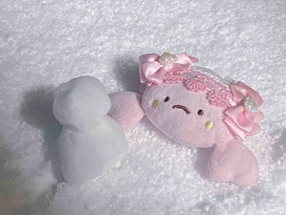 この前、おそと、ゆきがつもってたんだ！
うめこ、ゆきはじめてだからうれしくてお外まっくらなのに遊んでたんだ⛄️
あるじに見つかっちゃったけど見逃してくれたんだ。
あさ、ゆきだるまさんいなくなってた・・・。どこにいったんだろう