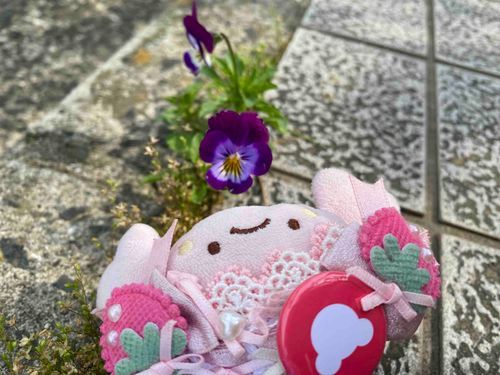 すみれ・・・？ぱんじー？
わからないけど、とってもキレイだね💐✨
