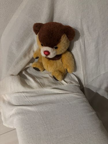 フランは突然知らないひとのお家にお迎えされて、とてもナーバス……