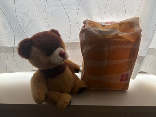 持ち主は今日、お夕飯をつくりたくない気分なんだって……