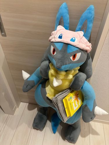 ルカリオは新しいシートマスクを試してくるから