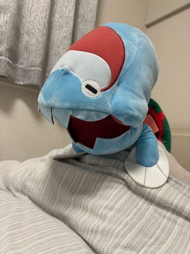お休みの日を寝て過ごしたウオノラゴン