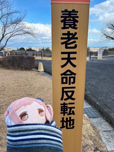 1月の寒さに震え、もち主のマフラーに包まったおもち