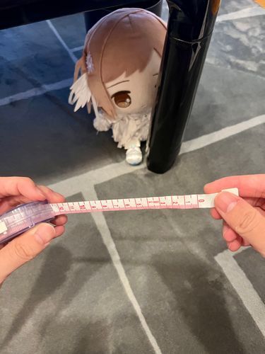 採寸を嫌がるおもち