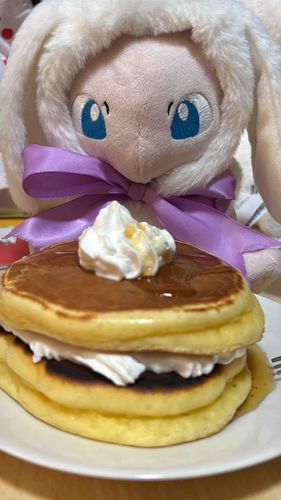 きれいにできたけど、生焼けだったね…