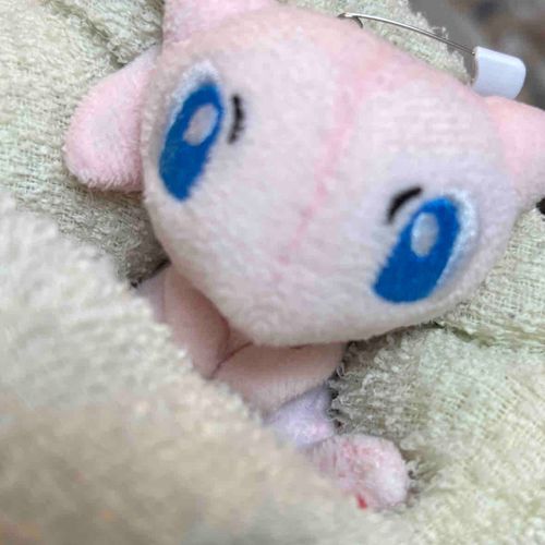 小僧ふんわりだね