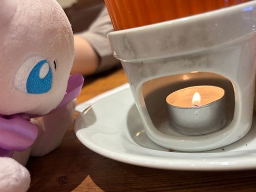 火に興味があるんだね