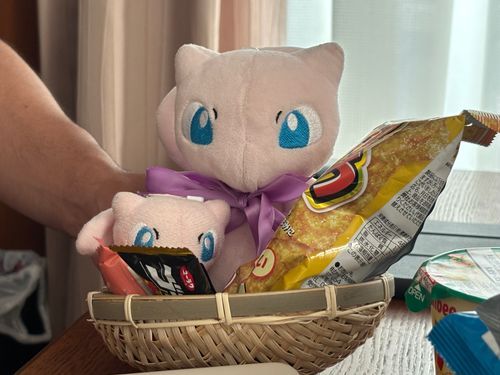 お菓子船でどんぶらこだね