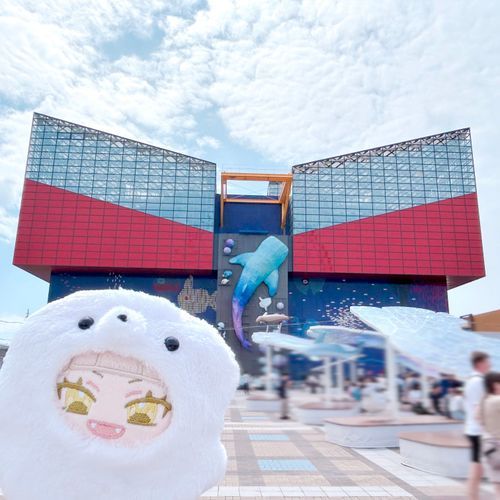 久々の海遊館だったね🦭
ジンベイザメ大きかったね