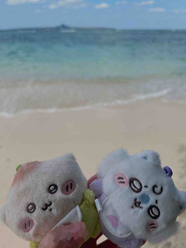 沖縄行ってました！🌺🌴🐠