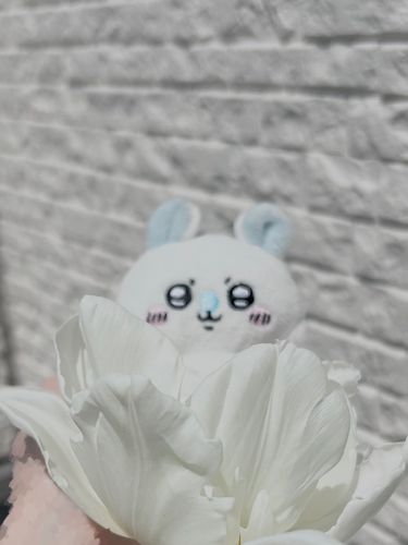 にょき🌷