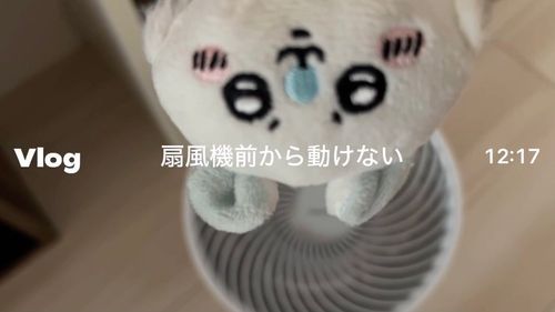 流行りに乗りたい