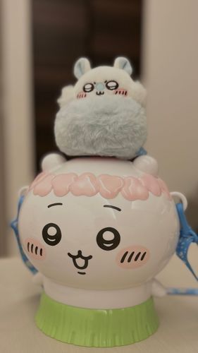 ほんとはごきげんセイレーン貰えるはずだったの
もうなかったの
だからポップコーンバケット買ったの
