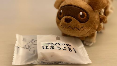お土産貰った