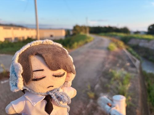 バイト終わり、夕日に照らされるﾅﾚｰﾀｰさん

*今日は、暑かったな*