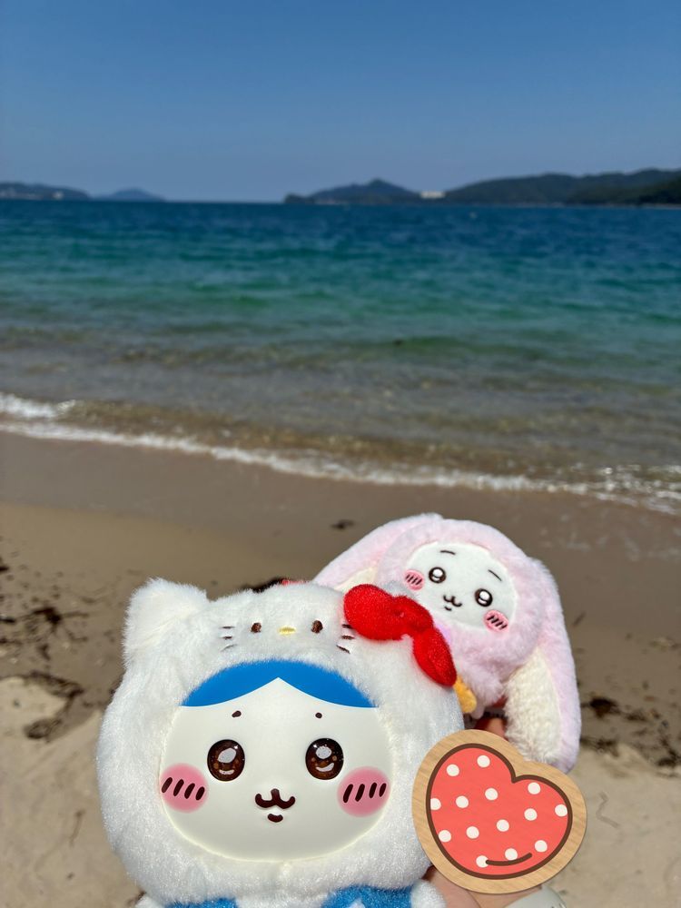 天橋立です！
天気も良くて、海も綺麗で…楽しい時間でした✨️海は癒されますね。