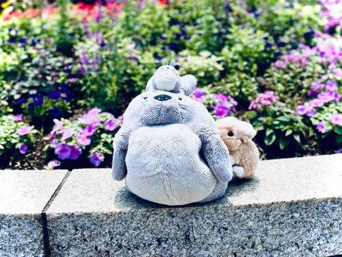 みんなー！久しぶり！！
ひさちゃんとトトちゃんとオトトちゃんだよ！！
公園へおでかけしてきたの💕
帰ったら大雨で、晴れてる時にあそべて良かった〜！！！✨✨✨