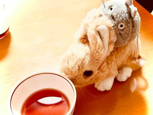 まったり🍵Time〜
沖縄の月桃茶っていうんだ！
あったかおいしいよ🧡