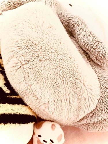 トトちゃんのお腹のモフモフがとってもカワイイのです……
下に顔出してるのはナンの赤ちゃんです( ´ ▽ ` )
うしろにチラッと🍙ちゃんのおめめも💕

by.お姉ちゃん🍒