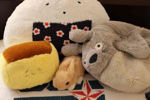 ふぁ〜

おっはよーーー！！！
ちょっとゆっくりねちゃった💭

みんなでぴったんこ💓