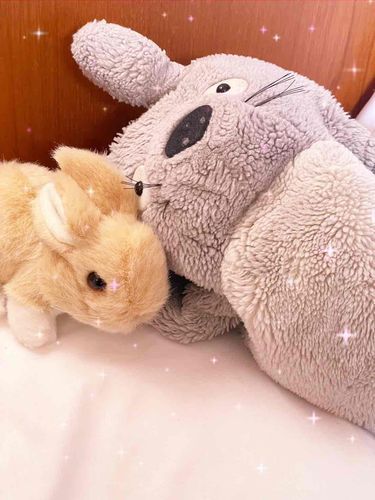 のんびりお昼寝たのしかったぁ〜
いまは夢のお話してるんだよっ

by,ひさちゃん、トトちゃん💓