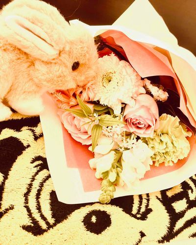 みんなひさしぶり〜
ひさちゃん元気だったよ💛
おねえちゃんが花束をもらってひさちゃん興味津々！
いい香りがする〜
タオルはサンディーっていうシロクマちゃん！だけど黄色いの。おもしろいねぇ🐰🍒