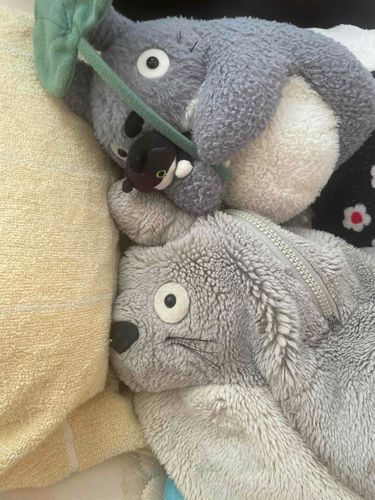 もうお昼だけど
トトちゃんぐっすり寝ているよ〜妹のモモちゃんも、ゴロンゴロンしてる！
モモちゃんがダッコしてるのはクロくんだよ。

お姉ちゃん、ひさちゃんの写真も撮ってねー！！

by.ひさちゃん