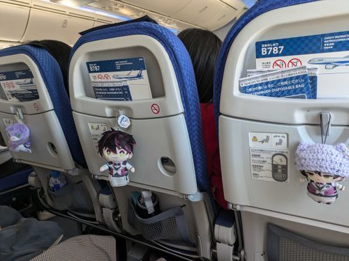 初飛行機✈
ぬいちゃんと一緒で怖くなかった〜