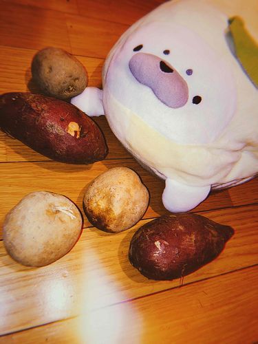 秋ﾉ味覚ﾀﾞﾆ

ﾀﾏﾆ ｢ｱｻﾞｲﾓ｣ ｯﾃｨ 呼ﾊﾞﾘﾙﾕ
オイモｼﾞｬﾅｲｭ