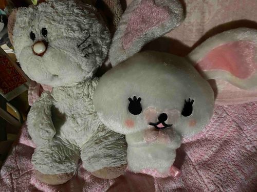 妹のラブちゃんといつも寝るのいっしょ❤️私はライオンのベビーで、ラブちゃんはウサギだけど仲良しなのよ🎵オヤスミィ