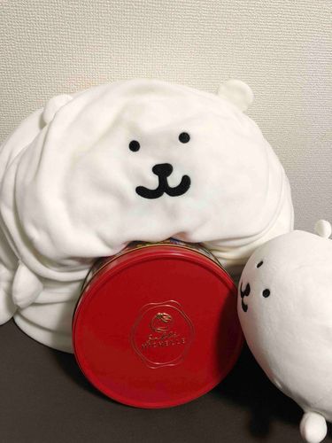なんやコレ？