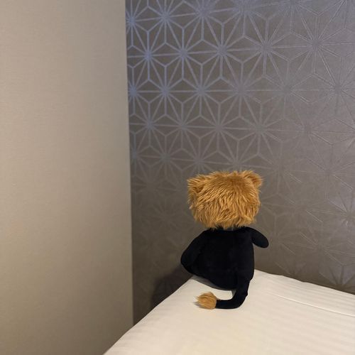 ほてる おとまり なのに
かいぬし おれ の ふく わすれた