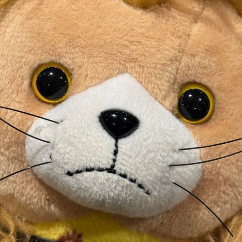かいぬし すぐ おれ の
がんめん を がめん いっぱい で とる