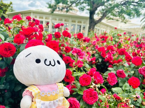 花と少女