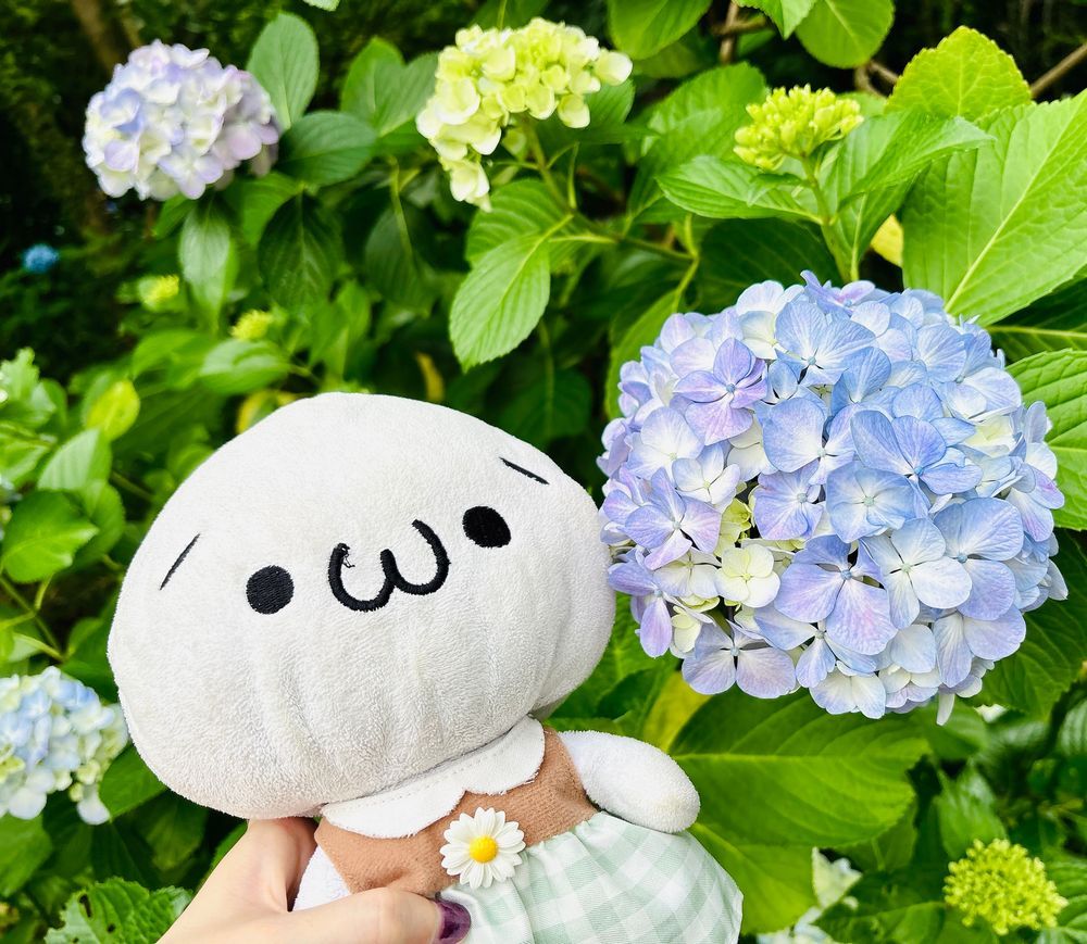 紫陽花見てきたよ〜！