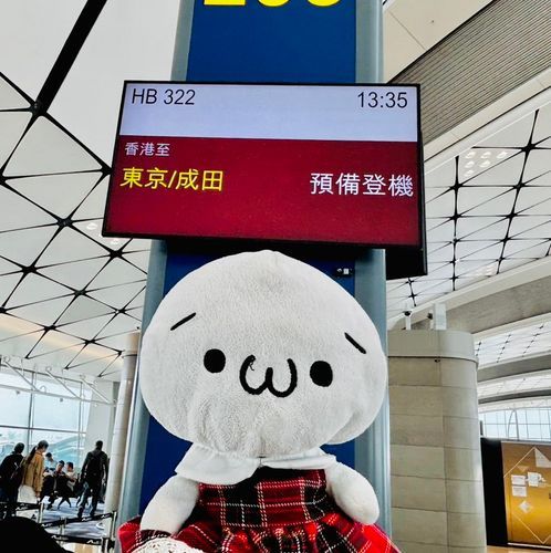 帰るよー！またね香港